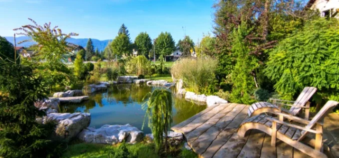 What To Consider Before Adding a Backyard Pond