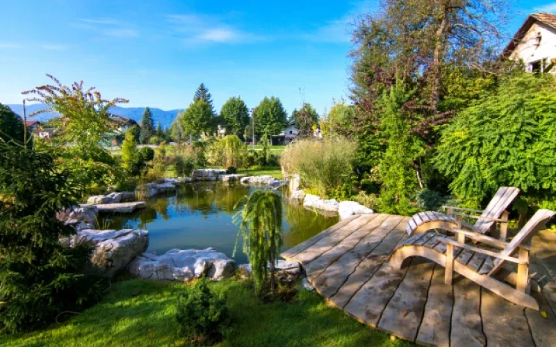 What To Consider Before Adding a Backyard Pond