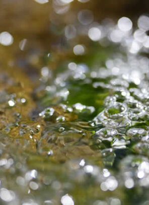 Water In Your Basement After Heavy Rain? Here’s What To Do