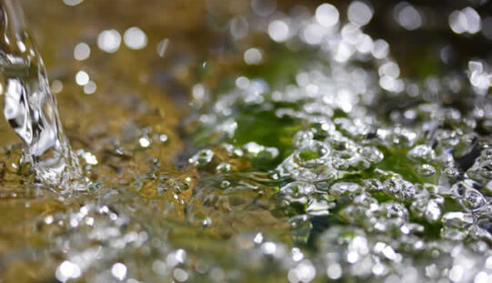 Water In Your Basement After Heavy Rain? Here’s What To Do