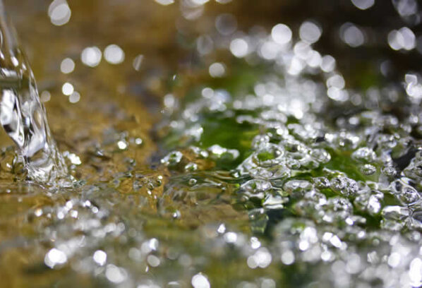 Water In Your Basement After Heavy Rain? Here’s What To Do