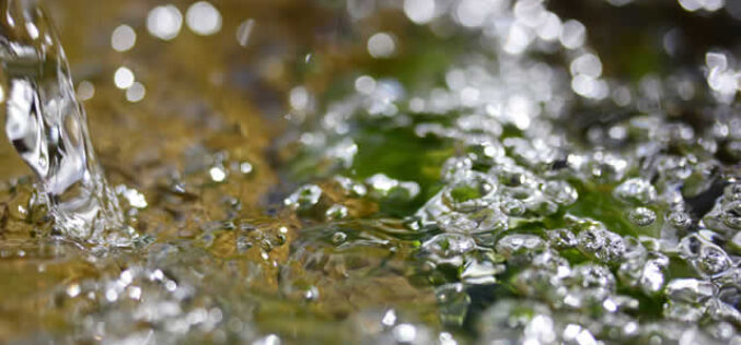 Water In Your Basement After Heavy Rain? Here’s What To Do