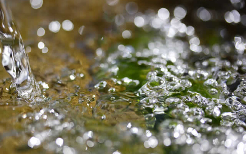 Water In Your Basement After Heavy Rain? Here’s What To Do