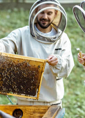 What You Need to Know About Keeping Bees at Your Home
