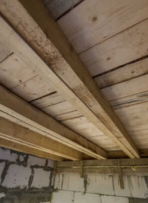 7 Warning Signs of Crawl Space Moisture Problems