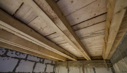 7 Warning Signs of Crawl Space Moisture Problems