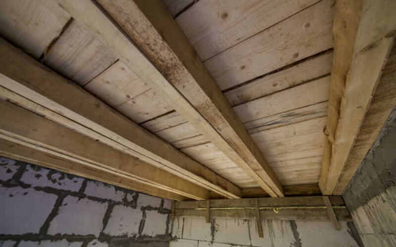 7 Warning Signs of Crawl Space Moisture Problems