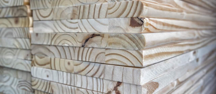 Best Wood Types For Exterior Trim In Damp, Rainy, And Humid Climates