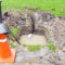 How to Identify Hidden Problems in Your Home’s Sewer Lines
