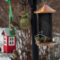 Creating A Backyard Winter Habitat For Birds And Wildlife
