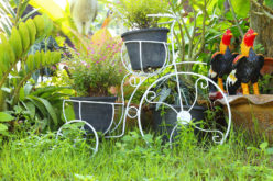 Garden Decor Using a Bicycle and Garden Decor Plant Stand in Thailand