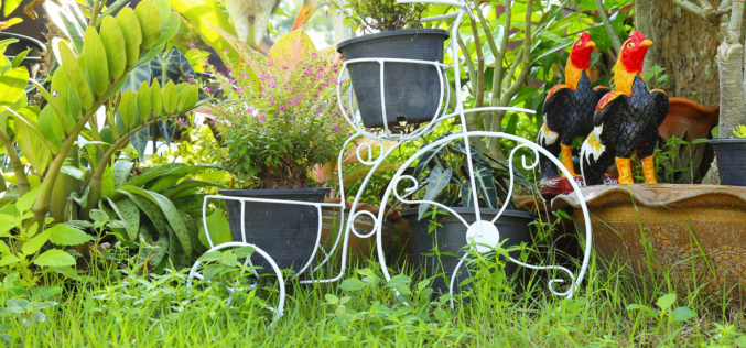 Garden Decor Using a Bicycle and Garden Decor Plant Stand in Thailand