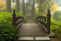 Decorative Garden Bridge Extending Over Landscape Garden