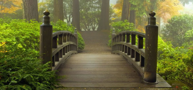 Decorative Garden Bridge Extending Over Landscape Garden