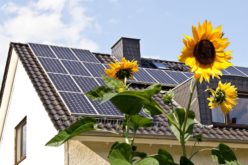 Solar Cells on Roof With Foreground Sun Flowers