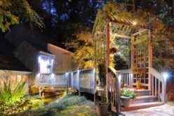 Porch Walkway Over Pond and Lighting in the Woods