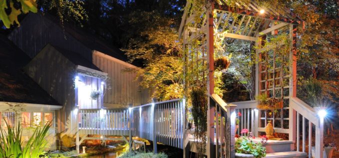 Porch Walkway Over Pond and Lighting in the Woods