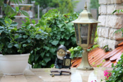 Making a Simple Garden Decoration Statement