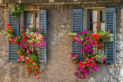 Exterior Window Shutters for Decor