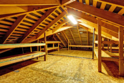 What Is In Your Attic Besides …?