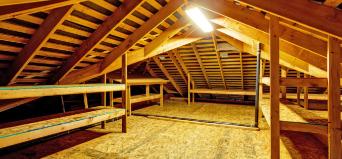 What Is In Your Attic Besides …?