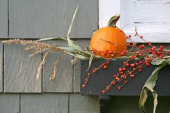 Summer is Almost Ending – Time to Think Autumn