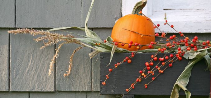 Summer is Almost Ending – Time to Think Autumn