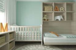 Baby Nursery and Toddler Room In One