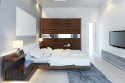 Design of Modern Spare Bedroom with Large Sliding Closet