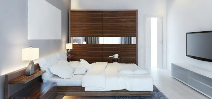 Design of Modern Spare Bedroom with Large Sliding Closet