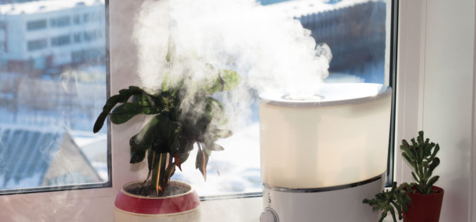 The Benefits of a Humidifier for Healthy Air
