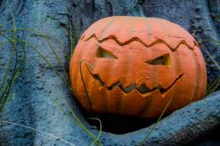 Halloween Pumpkin Displays for Exterior Home
