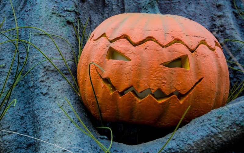 Halloween Pumpkin Displays for Exterior Home