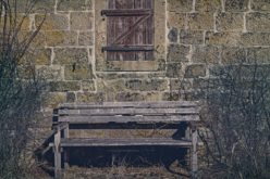 You Come Upon a Garden Bench as You Stroll Through the Garden