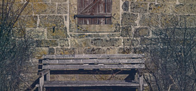 You Come Upon a Garden Bench as You Stroll Through the Garden