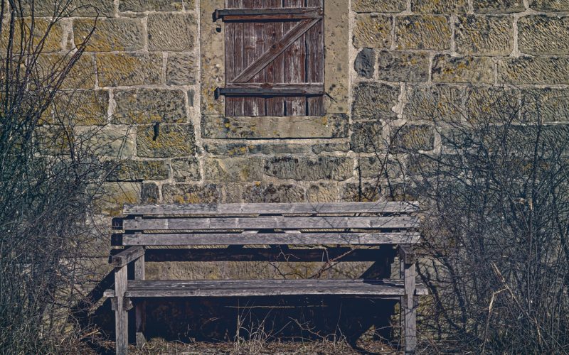 You Come Upon a Garden Bench as You Stroll Through the Garden