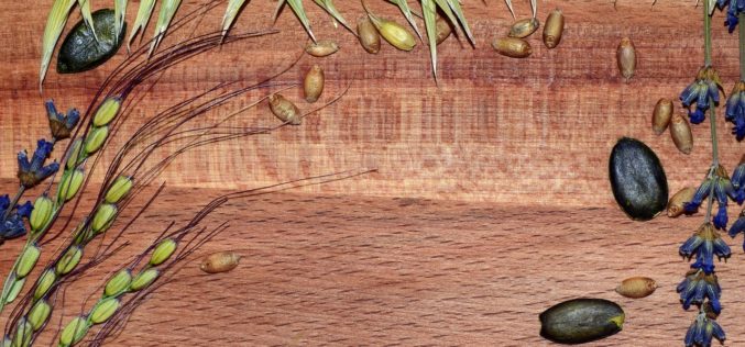 Look At Outside – It’s Time for Thanksgiving Decor