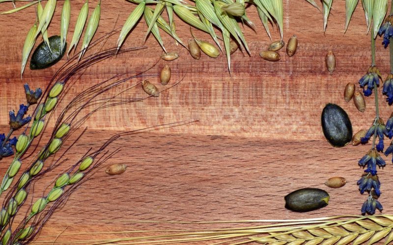 Look At Outside – It’s Time for Thanksgiving Decor