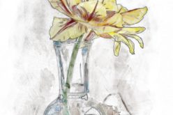 Using a Common Jar Bottle for a Beautiful Flower Vase