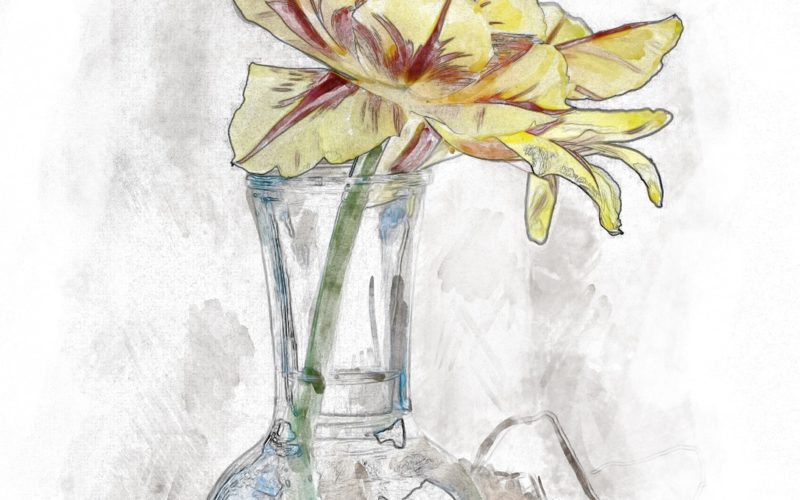Using a Common Jar Bottle for a Beautiful Flower Vase