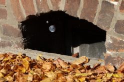 Does Your Home (Or Should Your Home) Have a Window Well?