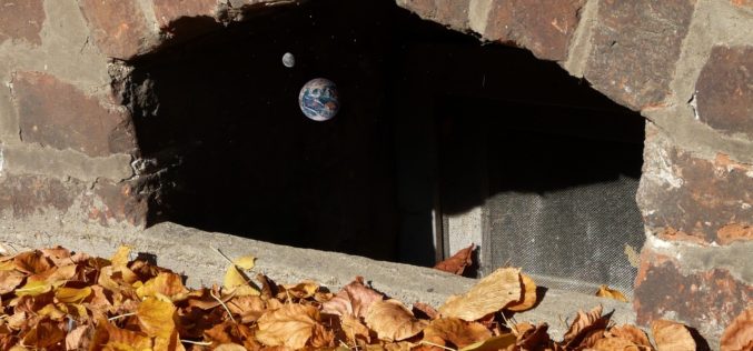 Does Your Home (Or Should Your Home) Have a Window Well?