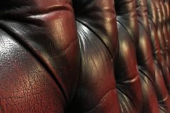 The Chair of Kings – That is the King of Your Home