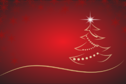 Start the Celebration of the Season With a Decorative Christmas Tree