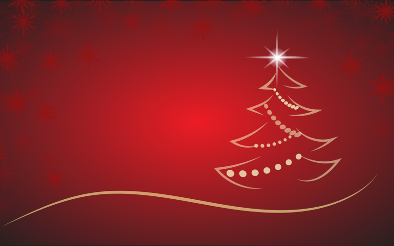 Start the Celebration of the Season With a Decorative Christmas Tree