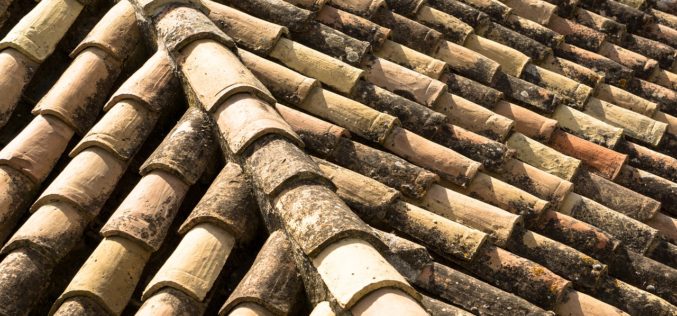 The Beauty and Durability of a Clay Tiled Roof