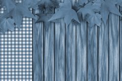 Coloring Your Interior Home With The Boldness of Blue