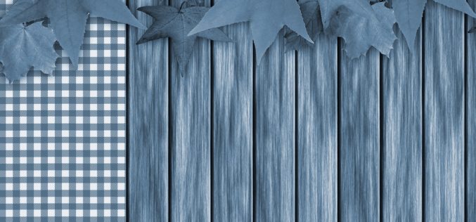 Coloring Your Interior Home With The Boldness of Blue