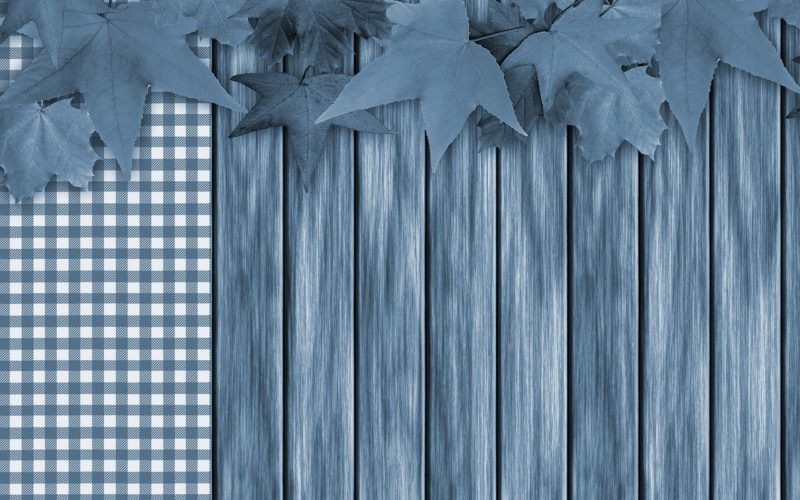 Coloring Your Interior Home With The Boldness of Blue