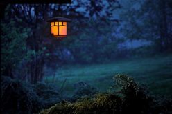 Lighting The Way Through Your Garden With Pathway Lighting